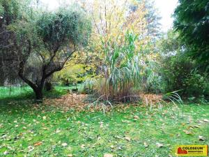 Prodej zahrady, Dyje, 387 m2