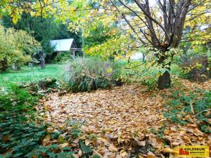 Prodej zahrady, Dyje, 387 m2