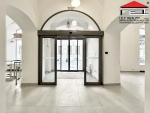 Pronájem obchodního prostoru, Brno - Brno-město, Kobližná, 260 m2