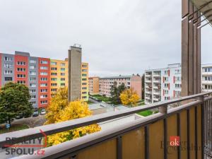 Pronájem bytu 2+1, Olomouc - Klášterní Hradisko, Černá cesta, 55 m2