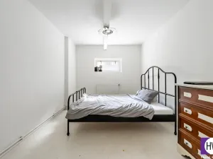 Prodej vícegeneračního domu, Praha, Na Truhlářce, 201 m2