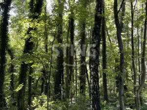 Prodej pozemku pro bydlení, Hnojník, 26902 m2