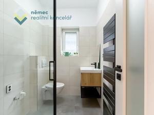 Prodej bytu 1+kk, Šestajovice, Revoluční, 19 m2