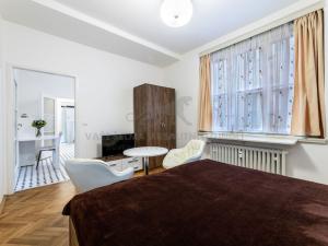 Pronájem bytu 1+kk, Praha - Staré Město, Revoluční, 37 m2