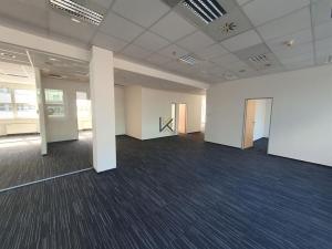 Pronájem kanceláře, Praha, Radlická, 789 m2