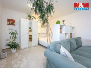 Pronájem bytu 4+1, Olomouc - Nová Ulice, Boženy Němcové, 100 m2