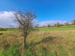 Prodej rodinného domu, Tečovice, 200 m2