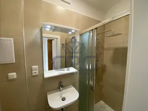 Pronájem bytu 2+kk, Brno, Nové sady, 48 m2