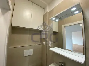 Pronájem bytu 2+kk, Brno, Nové sady, 48 m2