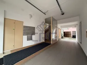 Pronájem bytu 2+kk, Brno, Nové sady, 48 m2