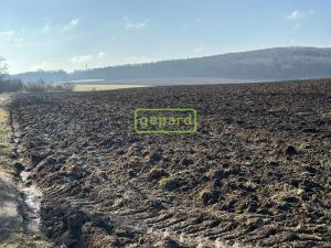 Prodej pole, Moravské Knínice, 8333 m2