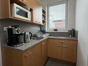 Pronájem komerčního pozemku, Opava, 1650 m2