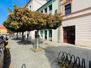 Pronájem bytu 2+1, Uničov, Masarykovo nám., 69 m2