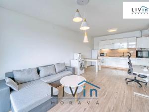 Pronájem bytu 2+kk, Olomouc, 17. listopadu, 67 m2