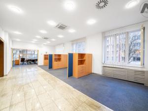 Prodej obchodního prostoru, Strakonice - Strakonice I, Lidická, 686 m2