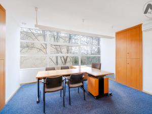 Prodej obchodního prostoru, Strakonice - Strakonice I, Lidická, 686 m2