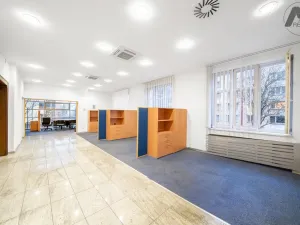 Prodej vily, Strakonice - Strakonice I, Lidická, 686 m2