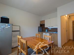 Pronájem bytu 1+1, Železná Ruda, U Řezné, 40 m2