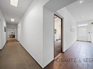 Prodej obchodního prostoru, Praha - Dolní Počernice, Nad rybníkem, 223 m2