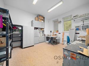 Prodej obchodního prostoru, Praha - Dolní Počernice, Nad rybníkem, 223 m2