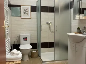 Pronájem bytu 1+kk, Hnojice, 35 m2