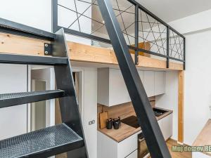 Pronájem bytu 4+kk, Praha - Žižkov, Malešická, 40 m2