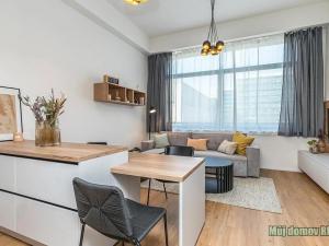 Pronájem bytu 4+kk, Praha - Žižkov, Malešická, 40 m2