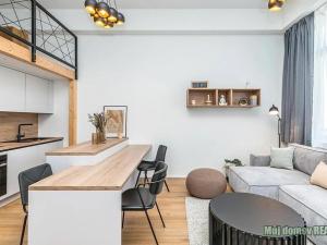 Pronájem bytu 4+kk, Praha - Žižkov, Malešická, 40 m2