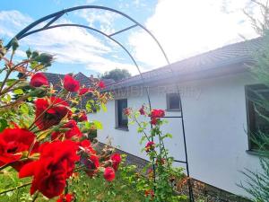 Prodej rodinného domu, Všestary, K lesu, 143 m2