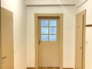 Prodej bytu 1+1, Plzeň, Tělocvičná, 47 m2