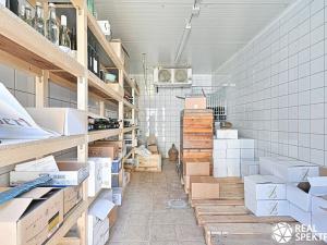 Prodej rodinného domu, Cetkovice, Velká Strana, 420 m2