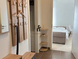 Pronájem bytu 2+kk, Praha - Žižkov, Olgy Havlové, 50 m2