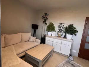 Prodej bytu 3+kk, Karlovy Vary, Západní, 59 m2