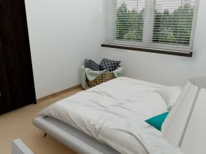 Pronájem bytu 2+kk, Čáslav - Čáslav-Nové Město, Husova, 41 m2
