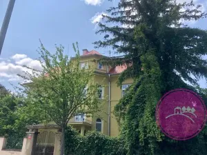 Pronájem obchodního prostoru, Olomouc, Karolíny Světlé, 55 m2