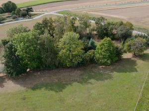 Prodej pozemku pro bydlení, Přibyslav, 1571 m2