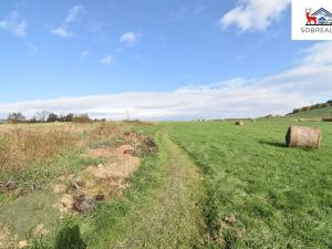 Prodej pozemku, Děčín, 29187 m2