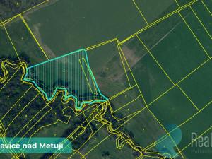 Prodej pozemku, Bohuslavice, 43749 m2