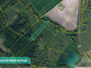 Prodej pozemku, Bohuslavice, 43749 m2