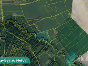 Prodej pozemku, Bohuslavice, 43749 m2