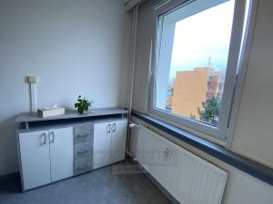 Pronájem bytu 1+1, České Budějovice - České Budějovice 2, Prachatická, 31 m2