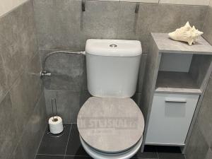 Pronájem bytu 1+1, České Budějovice - České Budějovice 2, Prachatická, 31 m2