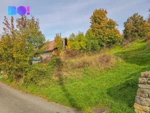 Prodej pozemku pro bydlení, Jankovice, 10000 m2