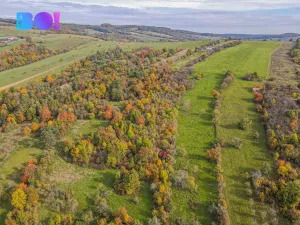 Prodej pozemku pro bydlení, Jankovice, 10000 m2
