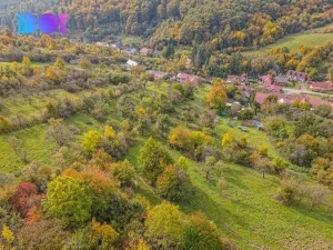 Prodej pozemku pro bydlení, Jankovice, 10000 m2