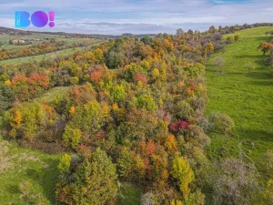 Prodej pozemku pro bydlení, Jankovice, 10000 m2