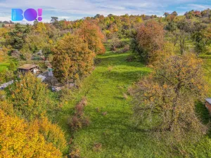 Prodej pozemku pro bydlení, Jankovice, 10000 m2