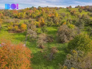 Prodej pozemku pro bydlení, Jankovice, 10000 m2