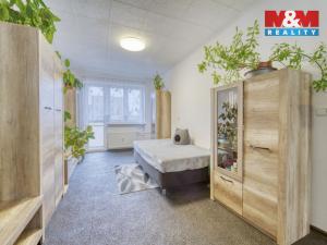 Prodej bytu 1+1, Habartov, Raisova, 50 m2