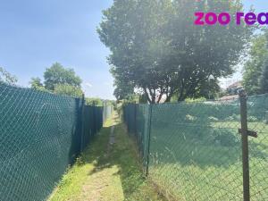Pronájem zahrady, Chomutov, 350 m2